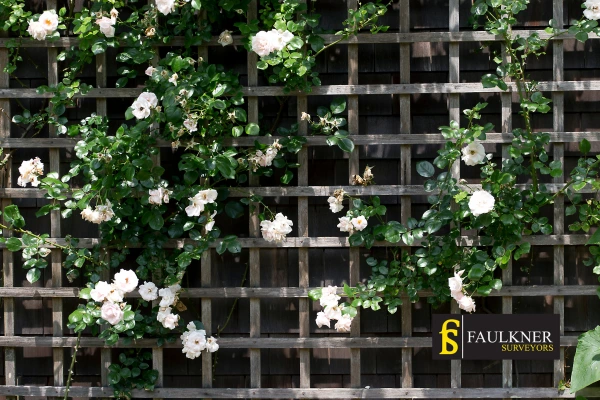 Can I put trellis on my Neighbours garage wall? 2 Do you want to adapt your neighbours garage door and add a trellis Maidstone? Talk to Faulkner Surveyor Maidstone